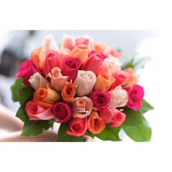 24 Pastel Roses