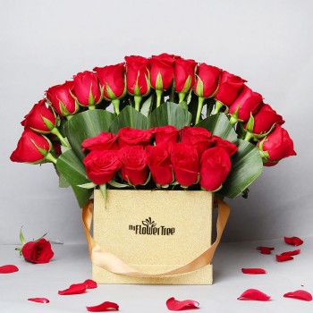 Luxury Blooms